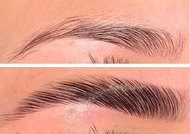 Ultimate Brows!!!! Lamination, Shaping and Tinting- Rolla Office