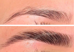 Ultimate Brows!!!! Lamination, Shaping and Tinting- Osage Beach